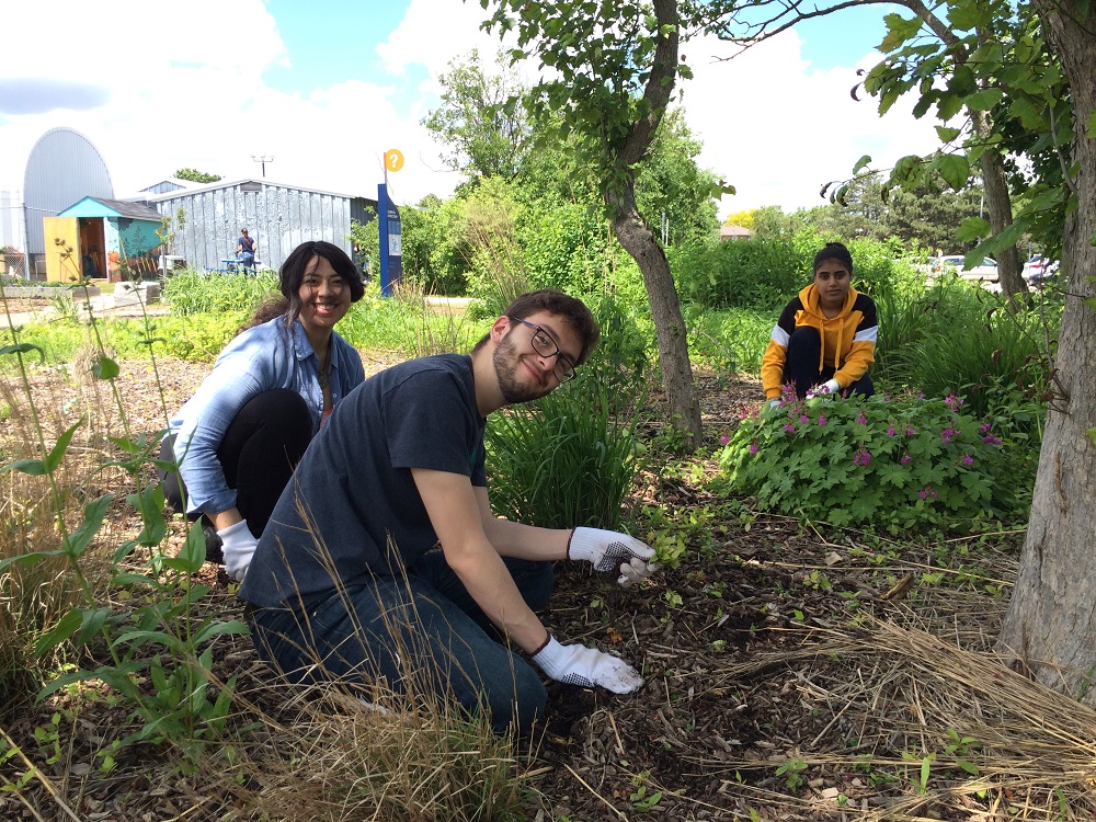 Three volunteers smile at the camera as they weed, and plant flowers.