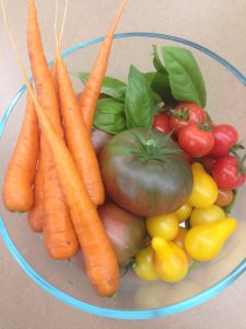 Closeup of a bowl of carrots, basil, peppers, and tomatoes. 