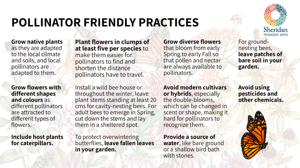 Pollinator Resources Mission Zero